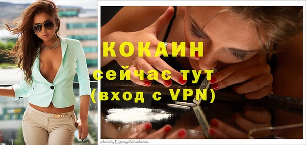 mix Верея