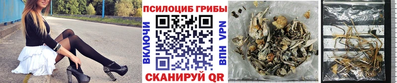 Псилоцибиновые грибы мухоморы закладки Новосокольники